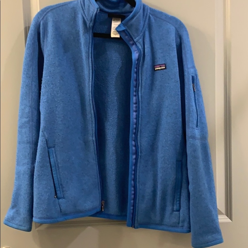 Patagonia blue coat